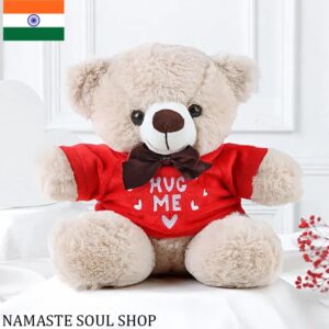 Osito de Peluche “Abrázame” – El Regalo Más Tierno para Robar Sonrisas {INDIA}